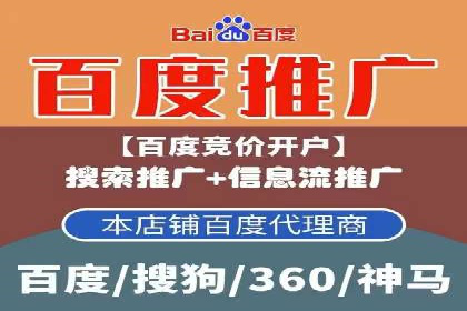 SEM主管实战：案例分析与优化策略